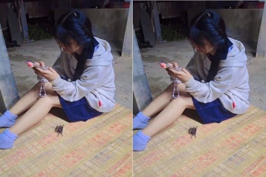 Đêm qua ghé nhà bạn chủ yếu đè nhau ra hành động